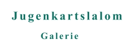 Galerie Jugenkartslalom