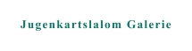 Jugenkartslalom Galerie