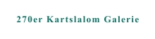 270er Kartslalom Galerie