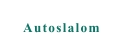 Autoslalom