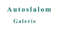 Galerie Autoslalom