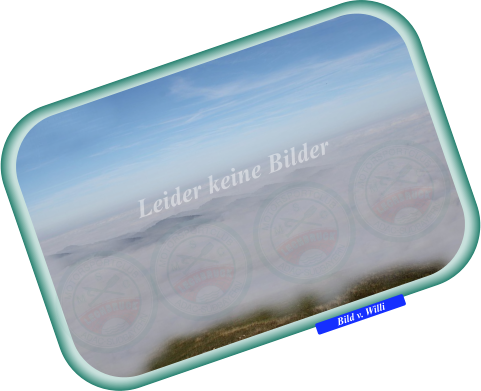 Bild v. Willi Leider keine Bilder