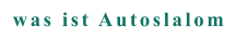 was ist Autoslalom