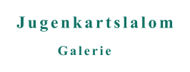 Galerie Jugenkartslalom