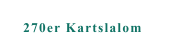 270er Kartslalom