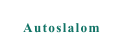 Autoslalom