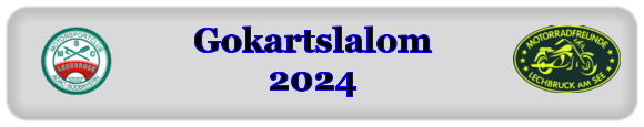 Gokartslalom2024