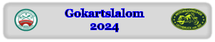 Gokartslalom2024
